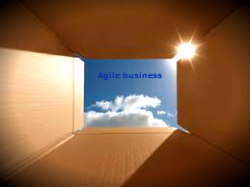 Business models and processes for agile selling